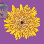 网友投稿 AG离职员工自述-体育资源-体育博彩-体育投注策略网